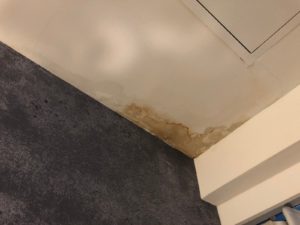 Navigating Water Damage and Roof Leaks
