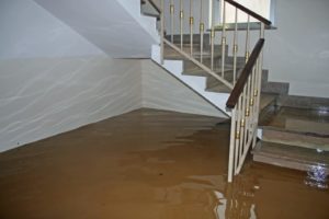 Essential Insights on Flood Damage Restoration