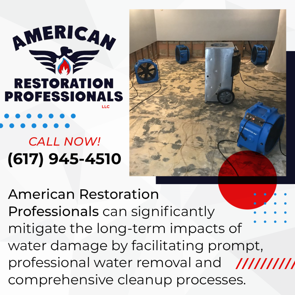 Professional Water Removal and Comprehensive Cleanup Processes
