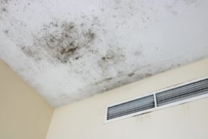 Mold at the Ceiling